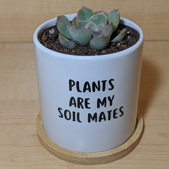 Personalized Plant Pots - Picture 2 of 4